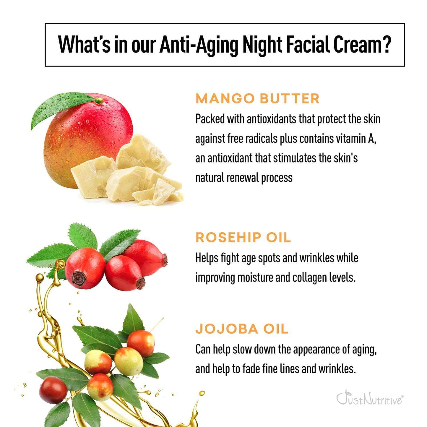 Just Nutritive Anti-Aging Night Facial Cream | Best Night Cream for Awesome Looking Skin | Anti Wrinkle Cream | Anti Aging Night Cream For Face | Anti Aging Skin Care 2oz