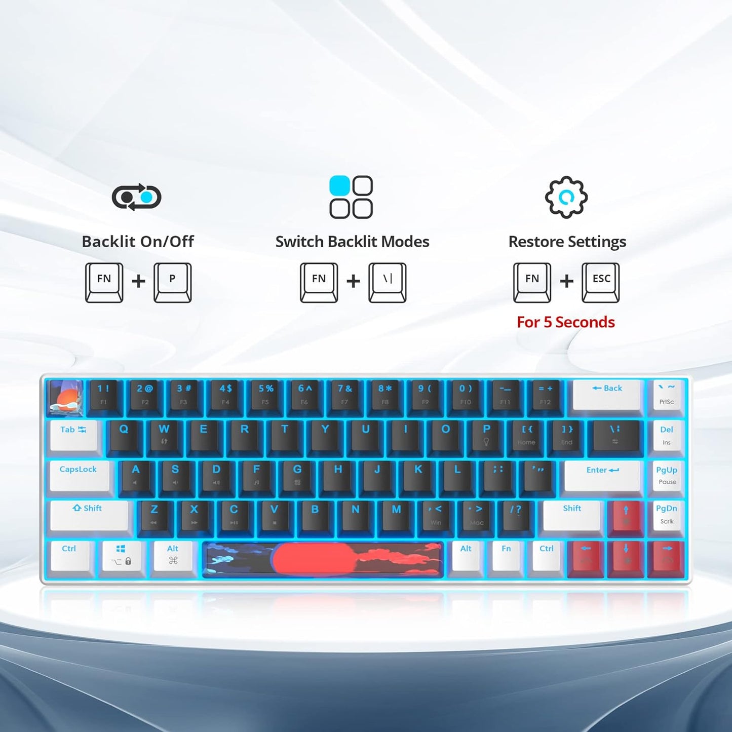 60 Percent Gaming Keyboard 68 Keys Mechanical Keyboard LED Backlit Compact Wired Keyboard with Red Switch for Windows PS4/5 Xbox Gamer(Black-White)