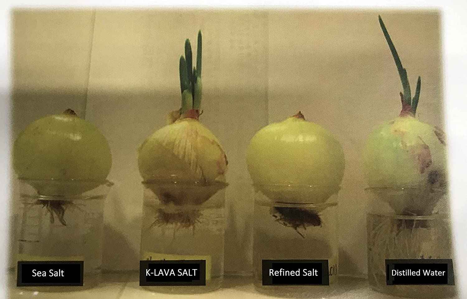 K-LAVA SALT—Korea's No.1 Bamboo Salt—Purple 9X, Crystal, 8.47 Ounce