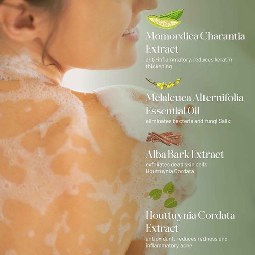 ABERA Folliculitis BHA Shower Gel, High-Performance Folliculitis Body Wash, Wild Bitter Melon Extract, Reduces Bacne & Hyperkeratosis, 3 Boxes + Gifts Combo Grapefruit Hair Regrowth Serum & Shampoo