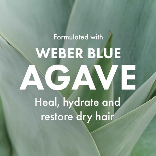 Agave Smoothing Shampoo Hydrating & Frizz Control, Color-Safe, Sulfate-Free, 33.8 oz