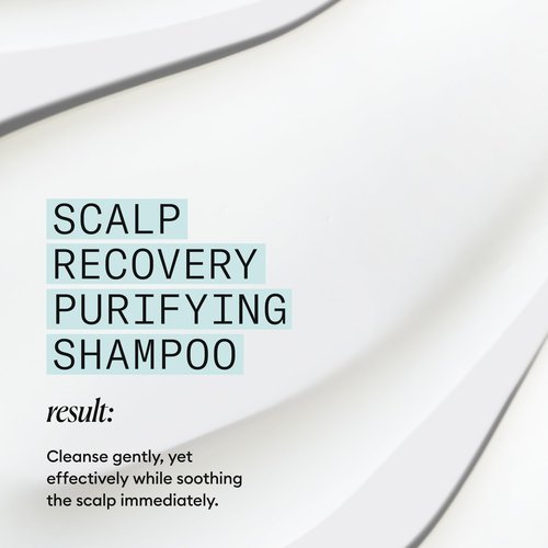 Nioxin Scalp Recovery Purifying Shampoo | For Dandruff and Itchy Scalp | With Pyrithione Zinc and Green Tea Extracts| 33.8 Fl oz.