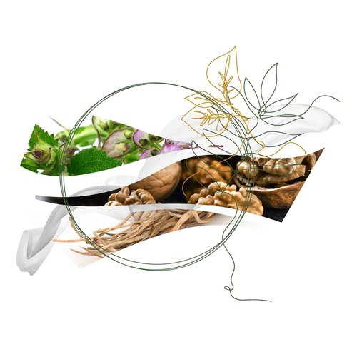 Ferragamo Foreste Di Seta Eau de Parfum, Genderless Perfume Spray, 3.4 Fl. Oz.