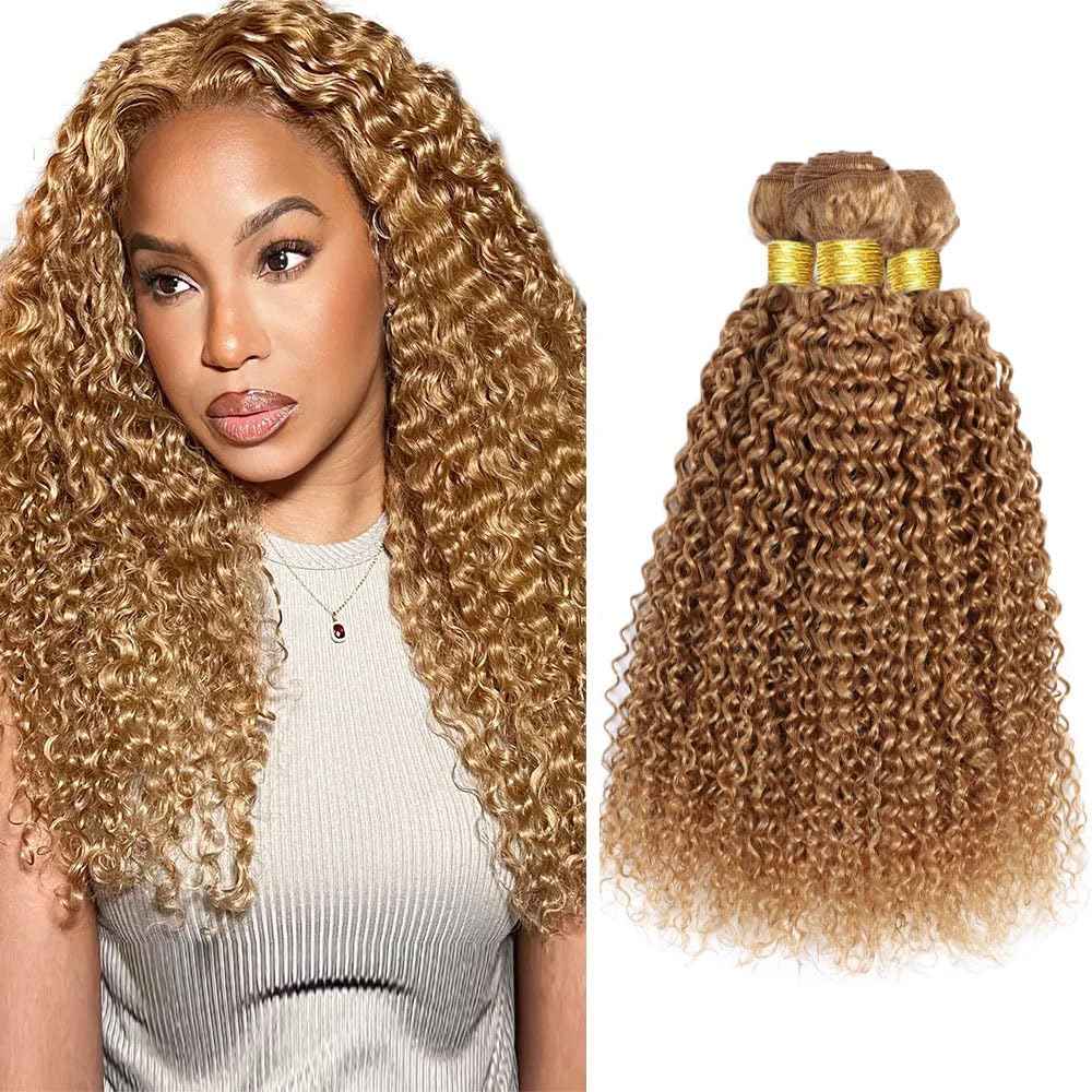 26 28 30 Inch Color 27 Bundles Human Hair Honey Blonde Curly Bundles Human Hair Brazilian Unprocessed Virgin Hair 3 Bundles Color 27 Kinky Curly Bundles Human Hair