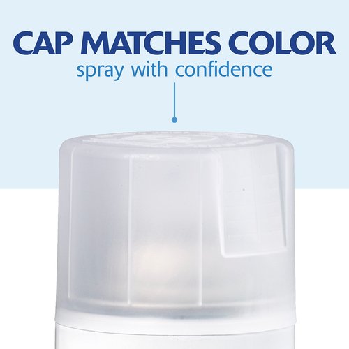 Rust-Oleum 334022 Painter's Touch 2X Ultra Cover Spray Paint, 12 oz, Matte Clear