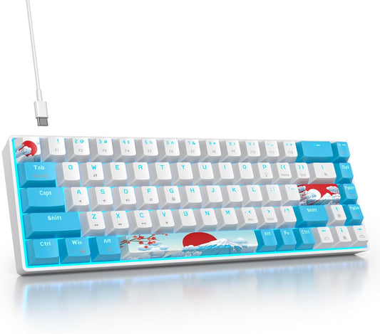60 Percent Keyboard Mechanical RGB Backlit Wired 60% Gaming Keyboard Blue with PBT Keycaps for Windows PC Gamers (Sea/Red Switch)