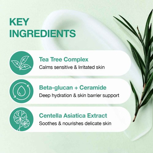 ESSENHERB Tea Tree Soothing In Calming Cream | Tea Tree Moisturizer | Calming Cream for Dry, Sensitive, All Skin Types, Korean Skincare (2.70oz * 3 Pack)