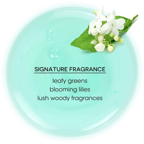 Bain de Terre Balancing Shampoo and Conditioner Set & Shine Serum | Green Meadow | Restores Optimal Balance for Normal, Oily Hair | Paraben Free | Color-Safe | 33.8 Fl Oz