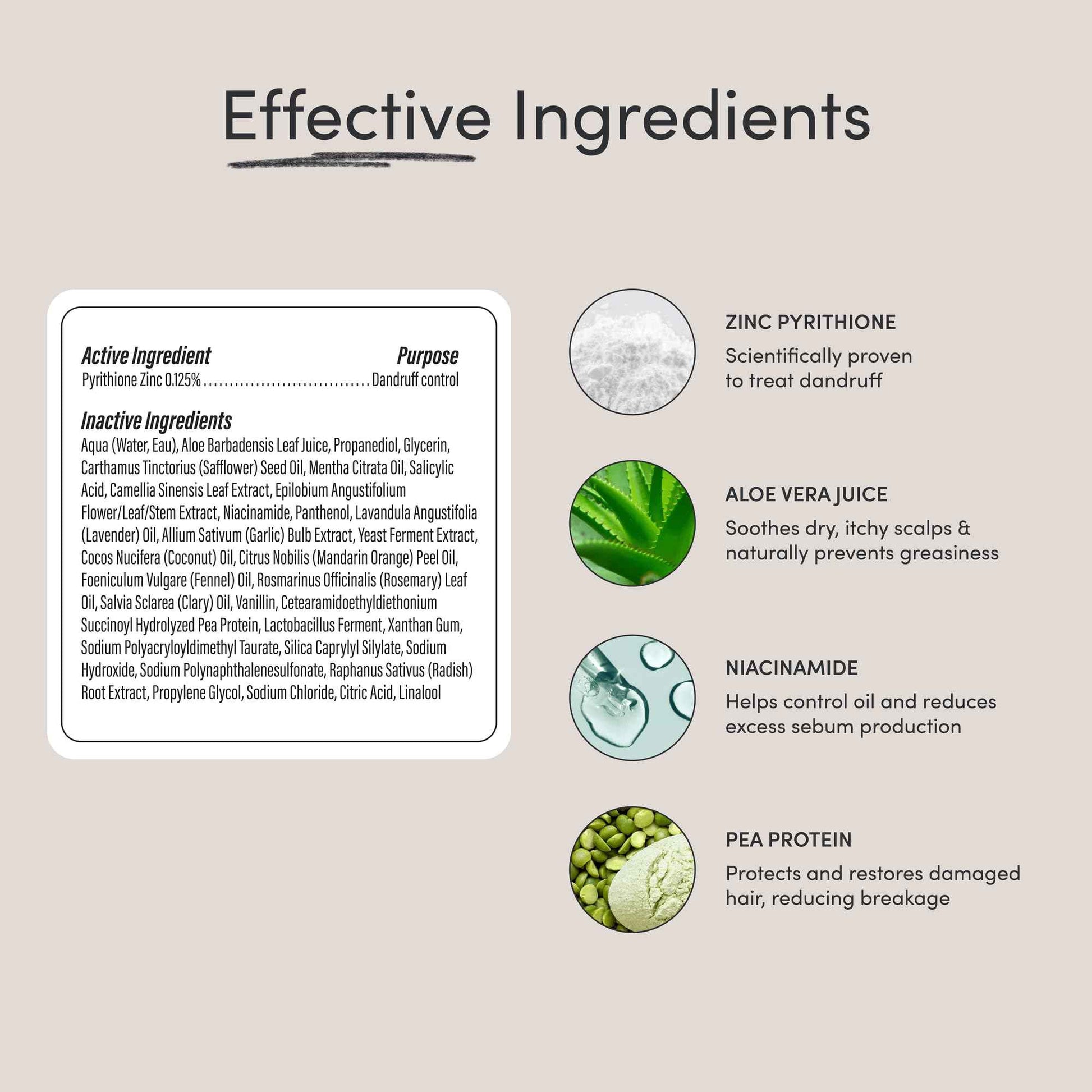 Jupiter Balancing Shampoo and Restoring Serum - Anti Dandruff Shampoo & Serum for Flaky, Itchy, Oily, & Dry Scalp - Nourishes Scalp, Reduces Breakage & Flakes - Color-Safe, Sulfate-Free, Paraben-Free