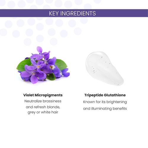 ALOXXI Violet Shampoo for Blonde & Silver Hair with Purple Pigments to Instantly Neutralize Brassiness & Enhance Luminousity, Paraben & Sulfate Free, 10.1 Fl Oz