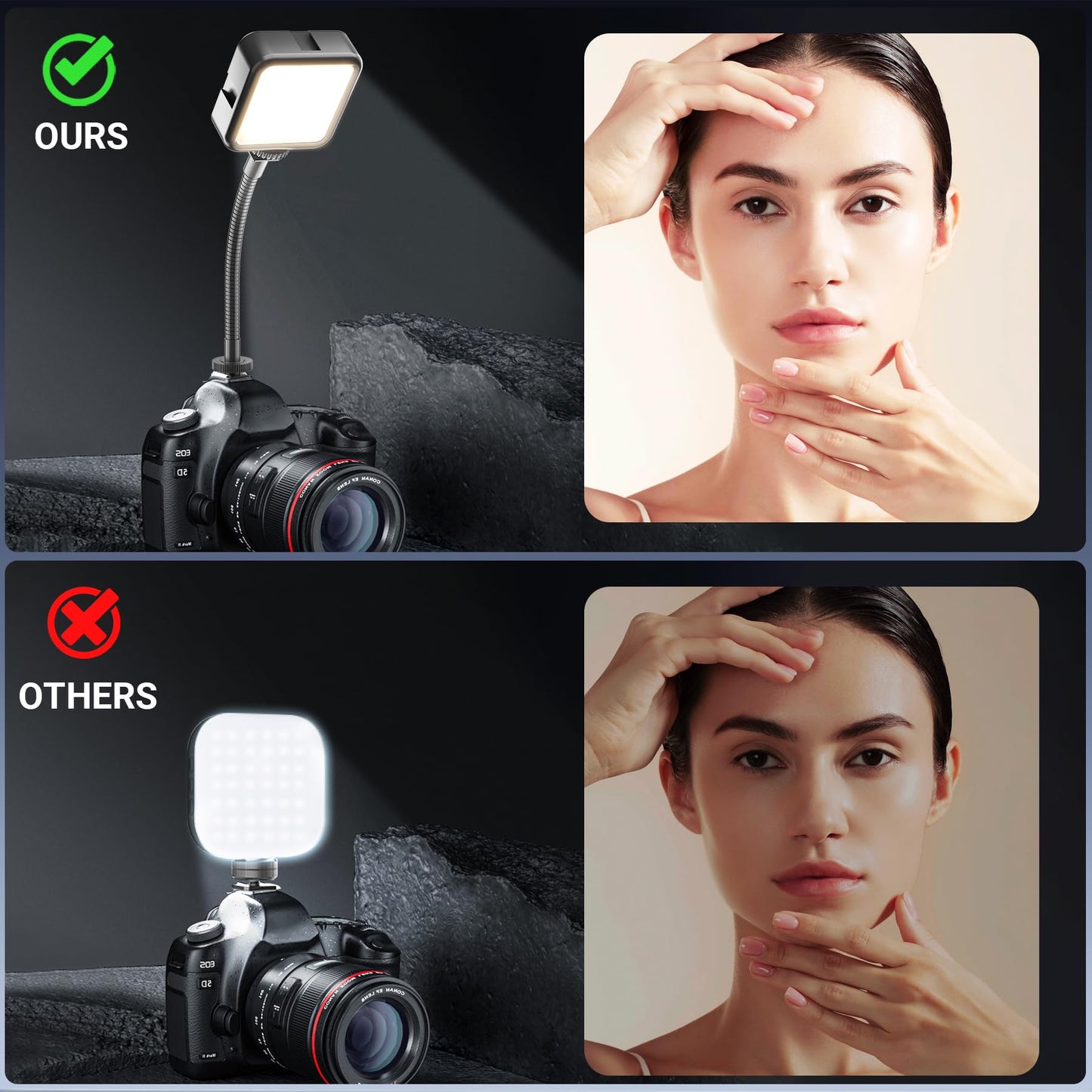 Zoom Light + Cold Shoe Light with Gooseneck