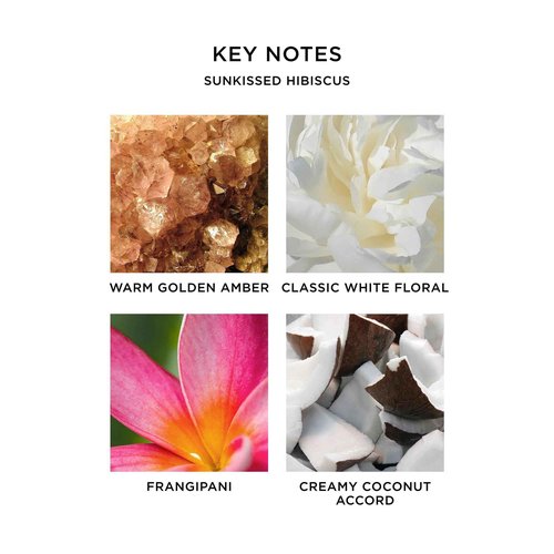 NEST New York Sunkissed Hibiscus Eau de Parfum (Full Size) - 50 mL - Vegan & Cruelty Free