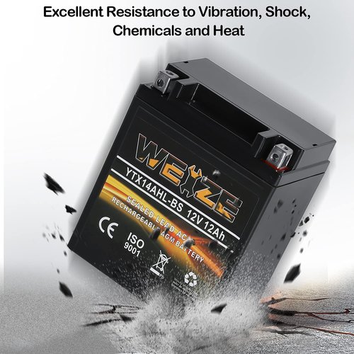 Weize YTX14AHL-BS High Performance - Rechargeable - Sealed Motorcycle Battery Compatible With Polaris Scrambler, Sportsman 90, Honda Scooters NQ50 Spree,Kawasaki 110 KLX110 Blue