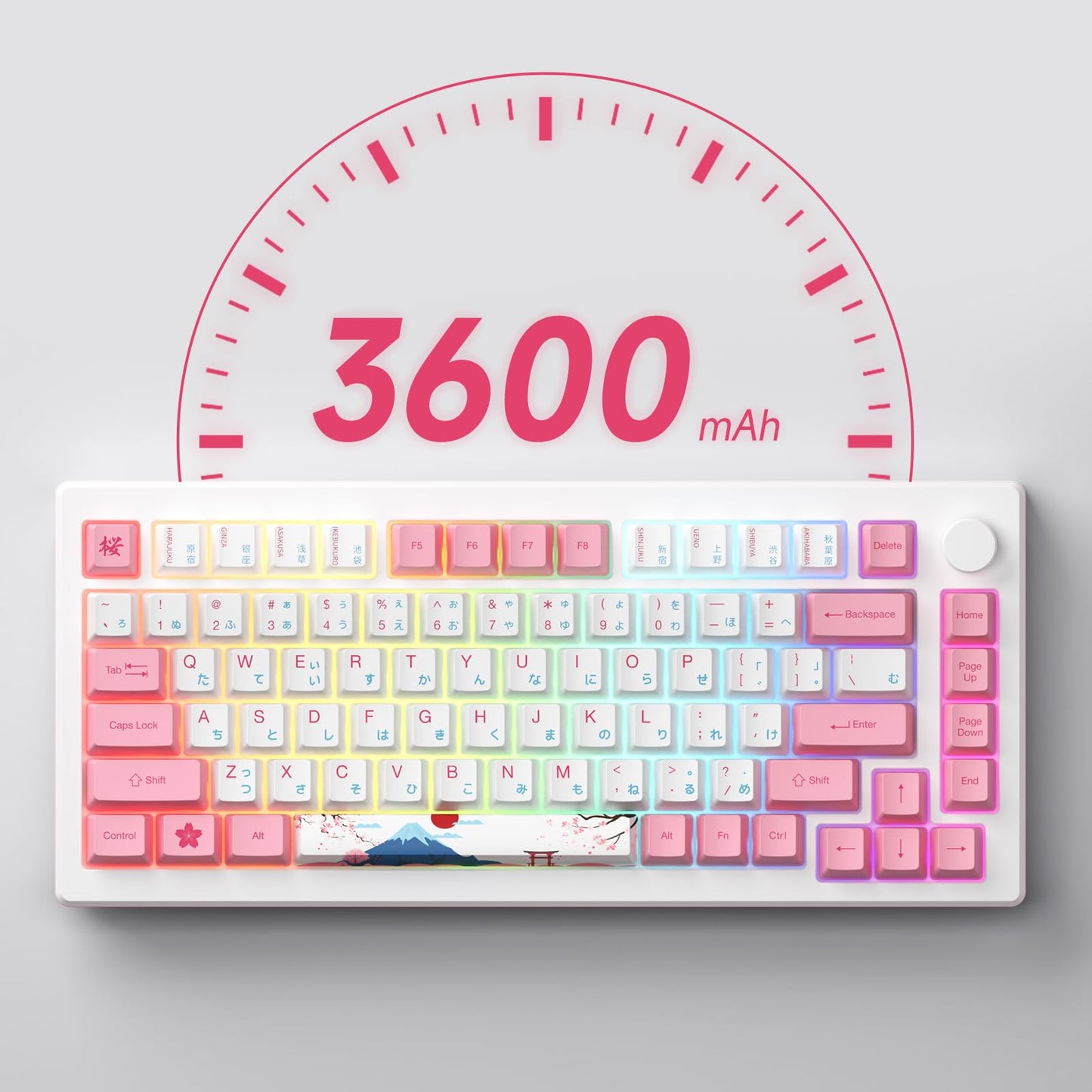 Akko Magnetic Switches Rapid Trigger Gaming Keyboard, MOD007B HE PC World Tour Tokyo Wired/Wireless 75% 8k Polling Rate Mechanical Keyboard with Knob, RGB Backlit (Kailh Sakura Pink Magnetic Switch)