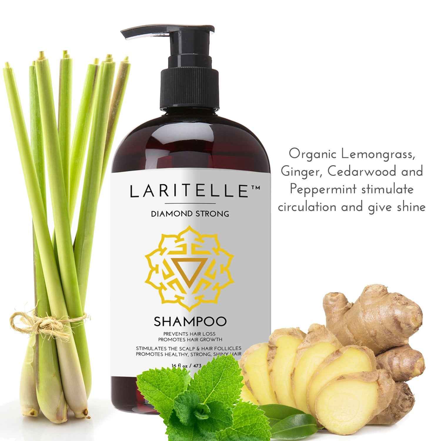 Laritelle Organic Shampoo 17 oz + Conditioner 16 oz | Prevents Hair Loss, Promotes Hair Growth | Argan Oil, Rosemary, Ginger & Cedarwood | NO GMO, Sulfates, Gluten, Alcohol, Parabens, Phthalates