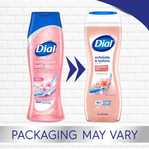 Dial Enriching Body Wash, Himalayan Salt 16 oz (Pack of 4)