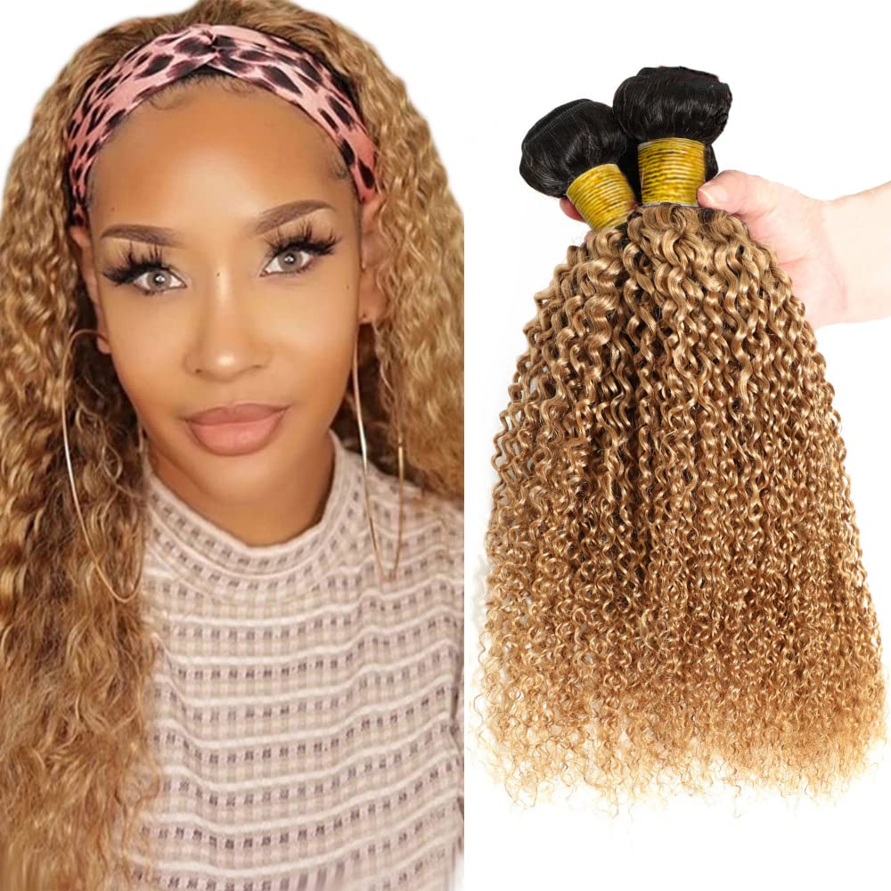 1B27 Ombre Curly Wave Bundle Blonde Human Hair 3 Bundles Kinky Curly 100% Unprocessed Virgin Hair Brazilian Double Weft Extensions Blonde Color 26 28 30 Inch For Women