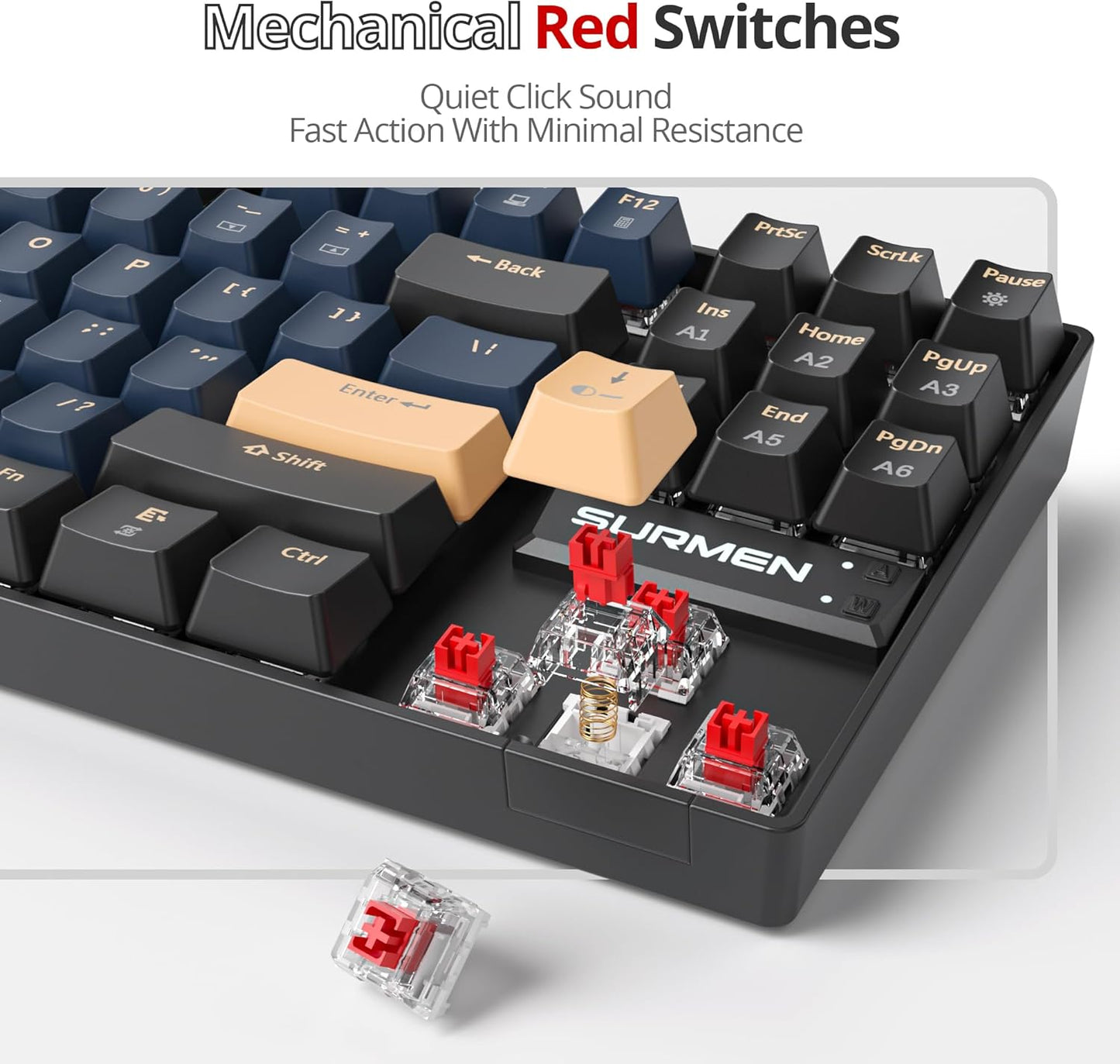 75% Mechanical Gaming Keyboard, 87 Keys Compact TKL Wired Linear Red Switches Detachable USB NKRO RGB Backlight Keyboard for Win/Mac/PS4/PS5/Xbox.（Blue Samurai）