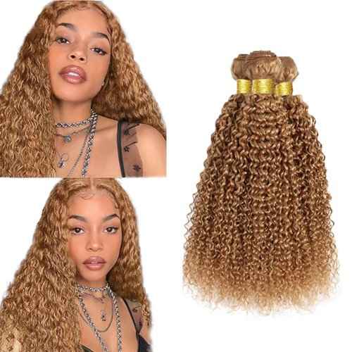 22 24 26 Inch Honey Blonde Bundles Color #27 Kinky Curly Human Hair Bundles Brazilian Honey Blonde Kinky Curly Bundles Human Hair Color #27 Bundles Hair Extensions