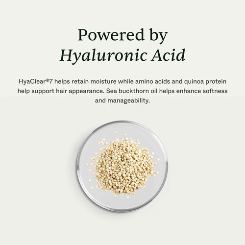 Scandinavian Biolabs Hydration Mask | Deep Moisture, Enhances Shine, Frizz & Damage Control, Immediate Hydration, Plant-Based Oils Blend, Suitable for All Hair Types, 100 mL/ 3.4 Oz