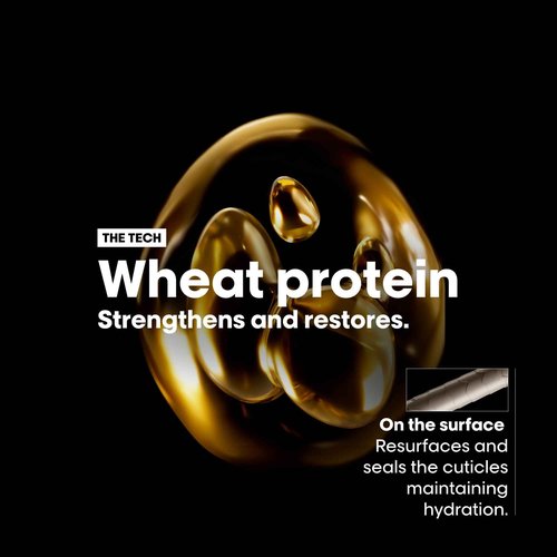 L'Oréal Professionnel Paris Absolut Repair Shampoo & Golden Mask Set - Protein Treatment For Dry & Damaged Hair, Repairs Damage & Provides Shine, 10.1 Fl Oz