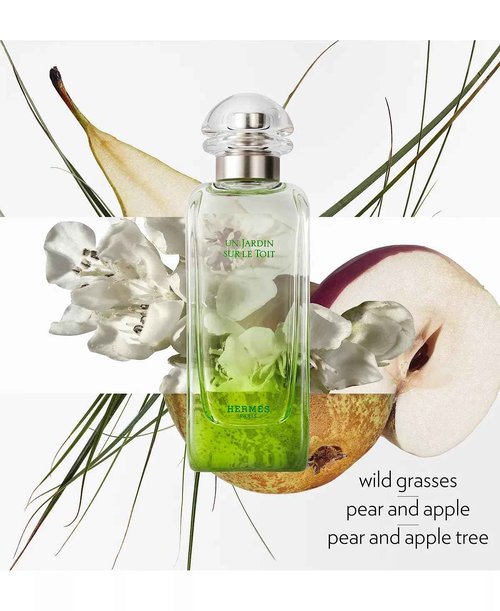 Hermes Hermès Un Jardin Sur Le Toit for Unisex Eau de Toilette Spray, 3.3 Ounce