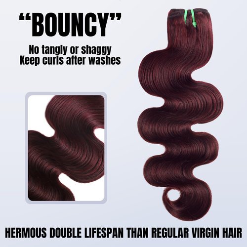 HERMOUS 13A Double Drawn Dark Burgundy Human Hair Bundles Body Wave 22 Inch, Double Lifespan Than Regular, Keep Silky And Soft After Washes Colored #99J Wine Cherry Red Single Bundles Raw Hair Sew In