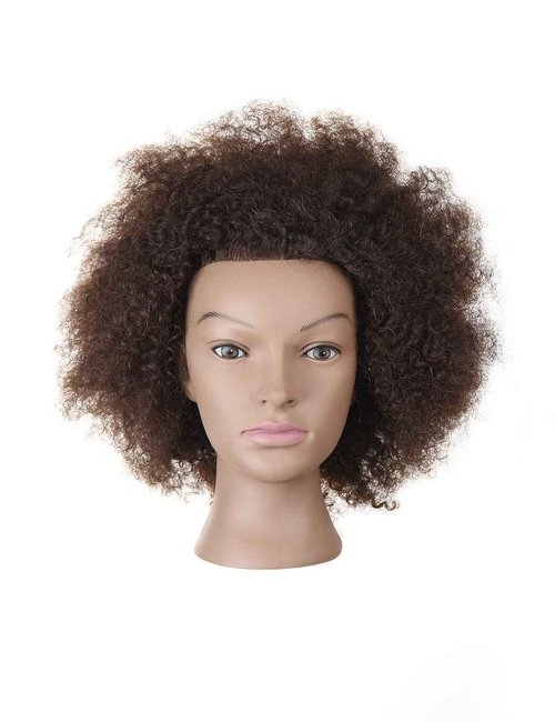 Kalyx Mannequin Head African American with 100% Human Hair Cosmetology Afro Hair Manikin Head for Practice Styling Braiding