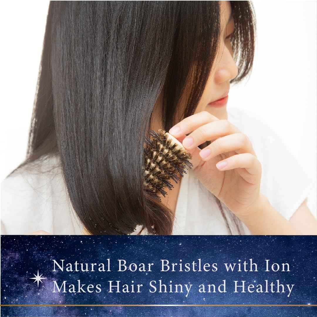 Pandora's Beauty Box The 101 GoShiny Hairbrush - FSC Wooden Handle/Boar Bristle Brush/Heat Resistant/Styling/Blowout/Patented (Large)