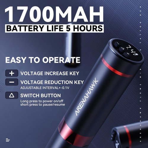 Mast Tattoo Tour Fly2 Cordless Tattoo Gun Machine Kit - Rotary Cartridge Tattoo Pen 20Pcs Needles Complete Tattoo Supplies for Beginners