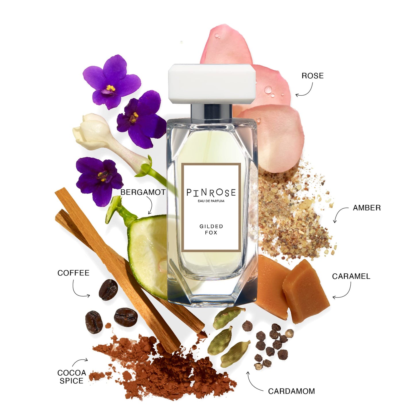 PINROSE Perfumes Gilded Fox - Eau de Parfum Fragrance Spray for Women - Clean, Vegan, Cruelty-free, and Hypoallergenic Scent with Essential Oils - Notes of Cocoa Spice, Buttered Rum, Amber, Coffee, Cardamom and Musk