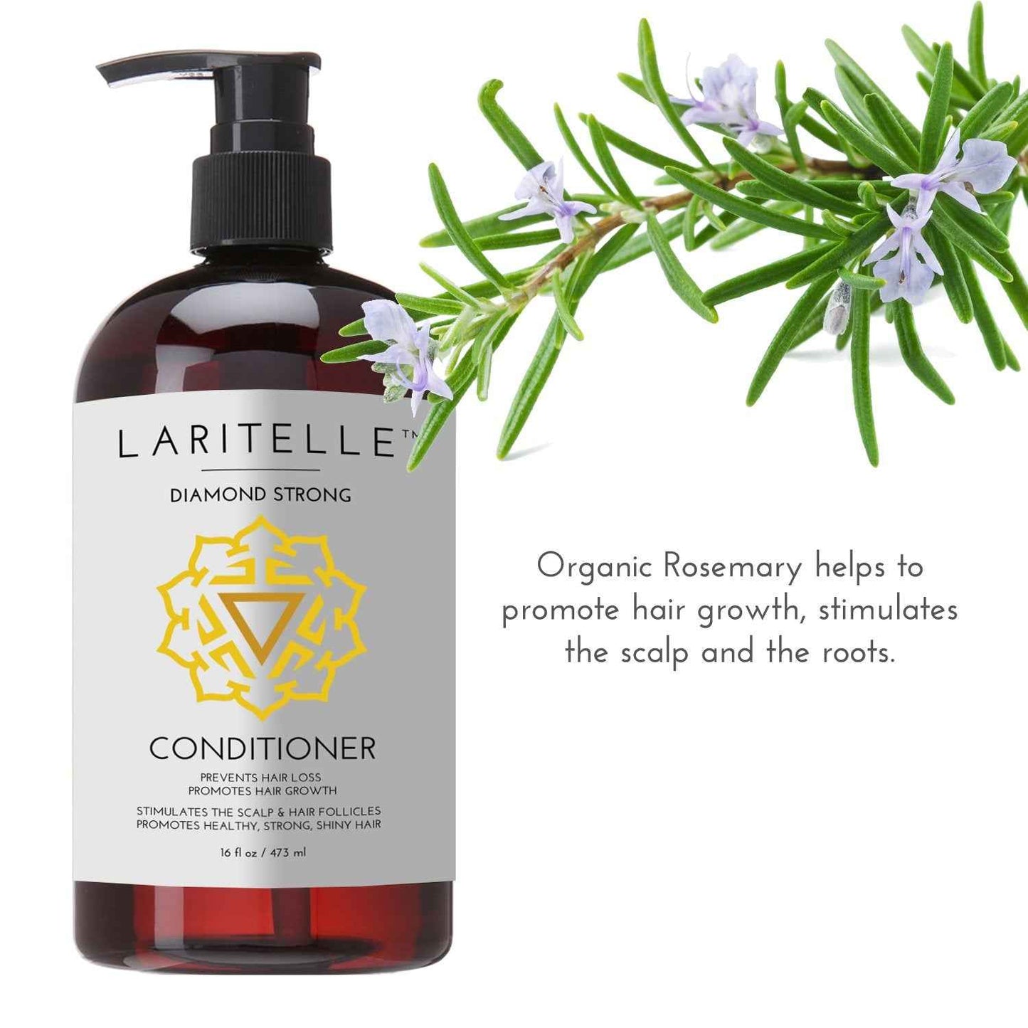 Laritelle Organic Shampoo 17 oz + Conditioner 16 oz | Prevents Hair Loss, Promotes Hair Growth | Argan Oil, Rosemary, Ginger & Cedarwood | NO GMO, Sulfates, Gluten, Alcohol, Parabens, Phthalates