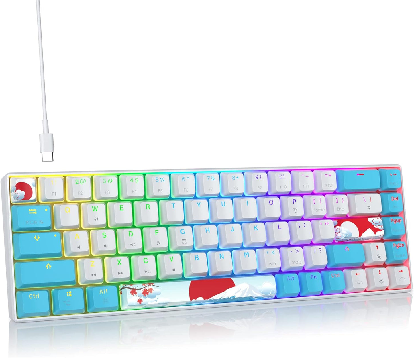 60 Percent Gaming Keyboard Mechanical with Linear Red Switch, 65% Wired Ultra-Compact Mini Keyboard Rainbow with PBT Keycaps for Ps4/Ps5/Xbox(68 MonsterB)