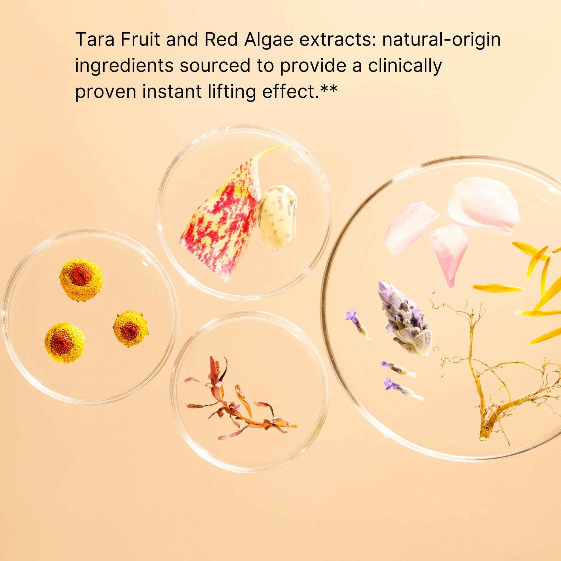 Jurlique. Nutri-Define Cream Mask 100ml | Hydrating Face Mask | For All Skin Types Including Dry, Oily & Sensitive Skin| Beauty Skincare Products for Women/Men | Australian Made