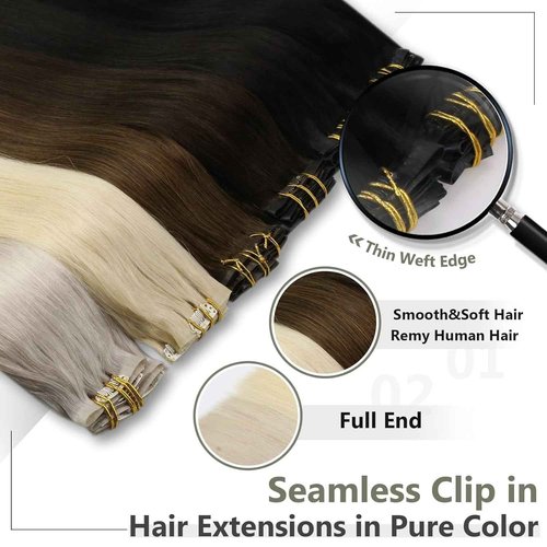 Ornate Hair Extensions Brown Real Human Hair Darkest Brown 100g Invisible Removable Thick Straight Fishing Line 8 Pieces Per Set Clip in Extensions Human Hair (4# clip in human hair, 22 inches-100g)