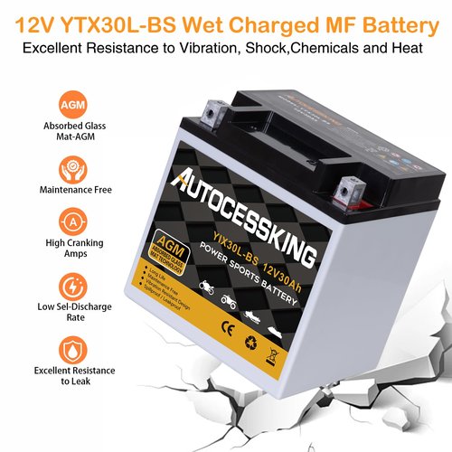 Autocessking YTX30L-BS Motorcycle Battery, 12V 30AH Rechargeable Maintenance Free Sealed AGM Battery Powersport Replacement Battery for ATV and Scooter