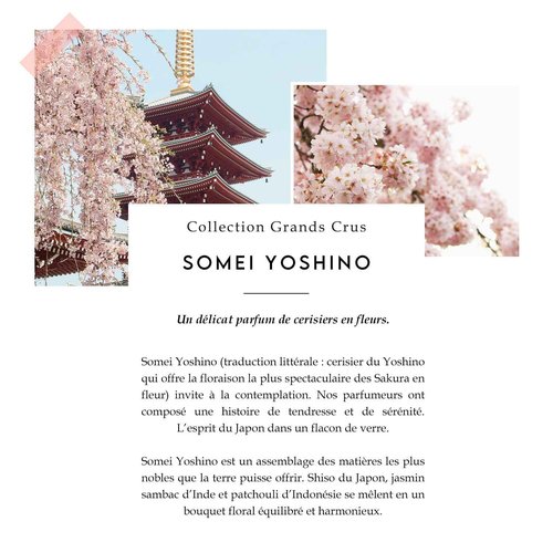 Berdoues Grands Crus Somei Yoshino Eau de Parfum | Floral, Long Lasting Scent Made in France | Spray Fragrance for Women| Luxury Perfume with Premium Quality Ingredients, 3.4 fl.oz.