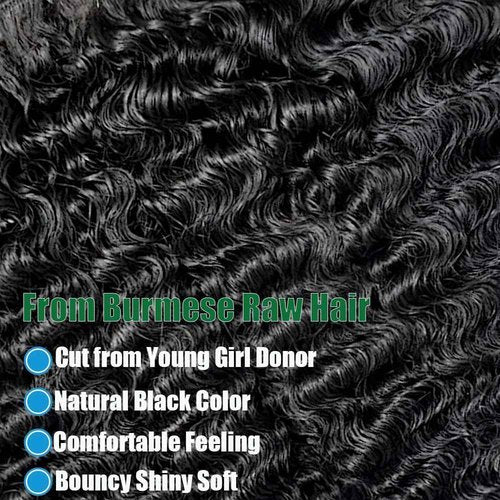 Burmese Curly Bundles Human Hair 16 18 20 Inches 100% Unprocessed Burmese Raw Hair Extension 3c4a Water Wave with Spiral Curly End Real Human Hair Extensions Natural Black