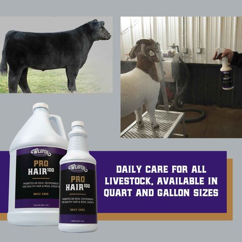 Weaver Livestock ProHair100 Healthy Hair and Wool Rejuvenating Livestock Hair Conditioner for Sheep, Goats, Cattle, and More, Pet Grooming Essentials