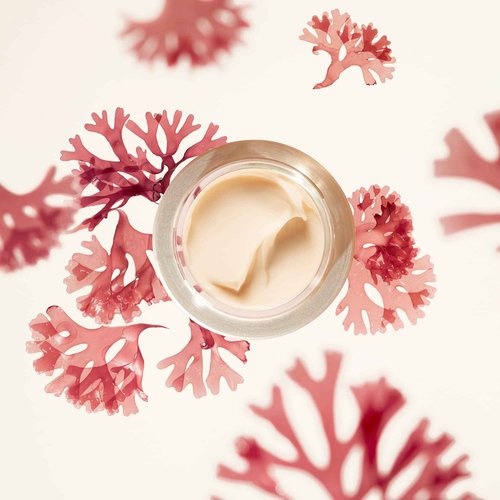 Shiseido Benefiance Wrinkle Smoothing Cream Enriched - 50 mL - Anti-Aging Moisturizer for Dry to Very Dry Skin - Visibly Corrects Wrinkles & Intensely Hydrates - Non-Comedogenic