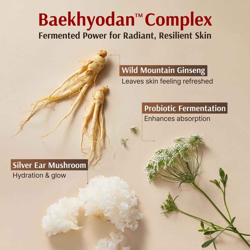 Sooryehan Ginseng Skincare gift Set - Hyobidam Korean Skin Care Set, Premium Gift Set for Intense Hydration, Firm Skin, Wild Ginseng, 13.53 fl oz