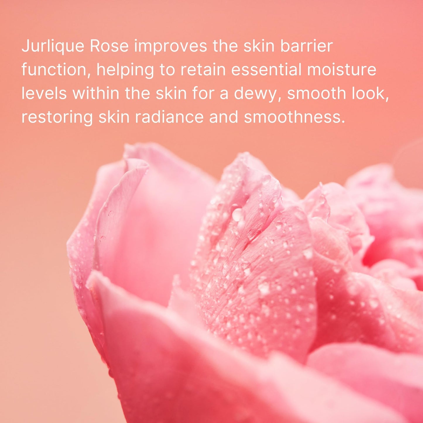 Jurlique - Rare Rose Lotion 50ml