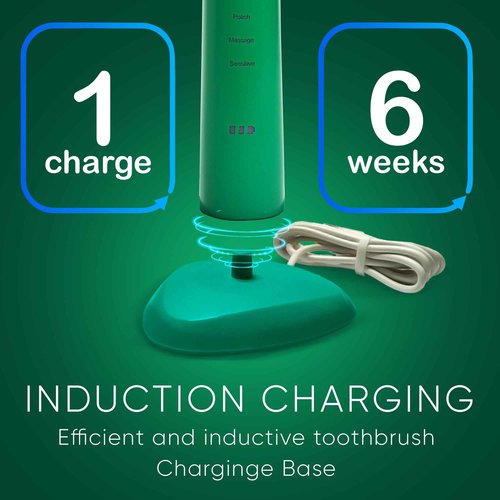 Big Mouth Electric Toothbrush for Adults by Dr Bobbi (Patented) Travel Toothbrush Retain One Charge for 42 Days Ultrasonic Rechargeable 5 Modes & 2 Minutes Auto Timer Rotimi Royalty Edition (green)