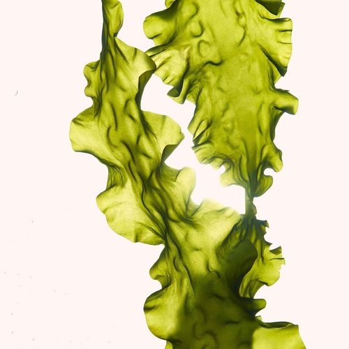 ANNEMARIE BÖRLIND - SYSTEM ABSOLUTE Firming Beauty Fluid - Toning Bogbean and Lady's Mantle Serum - Strengthens, Smooths and Plumps Skin - 1.69 Fl. Oz.