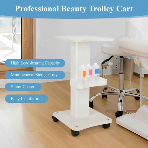 tonchean 3 Tier Beauty Cart, Esthetician Trolley Cart with Wheels, Aluminum Salon Spa Beauty Machine Trolley Stand for Beauty Instrument Storage, Load 220 lbs, 27x15x13 Inch