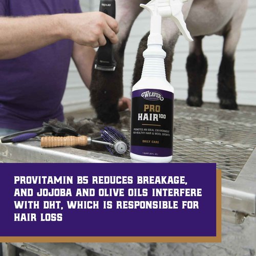 Weaver Livestock ProHair100 Healthy Hair and Wool Rejuvenating Livestock Hair Conditioner for Sheep, Goats, Cattle, and More, Pet Grooming Essentials