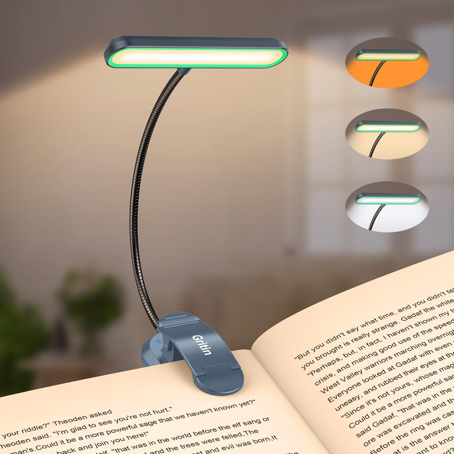 Gritin Rechargeable Book Light for Reading in Bed with 19 LED &Memory Function-Eye Caring 3 Color Temperatures,5 Brightness Levels,80 Hrs Runtime Flexible Goose Neck Clip on Light-Aquamarine