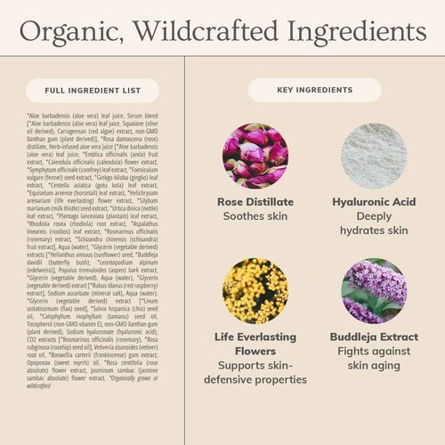 Annmarie Skin Care Anti-Aging Serum - Aloe-Vera Based Serum with Hyaluronic Acid & Herbal Extracts. Firming Serum for Dry Skin, Fine Lines & Wrinkles, For All Skin Types (15ml, 0.5 fl oz)