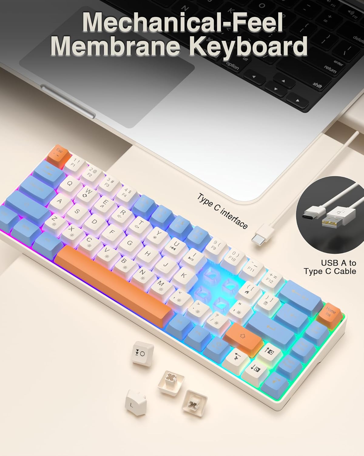60% Gaming Keyboard,Small Keyboard USB-C Wired,Compact Mini Teclado Gamer,68 Keys RGB Backlit Portable Membrane Keyboards for Business Trips,Office,PC Games (SK968,White)