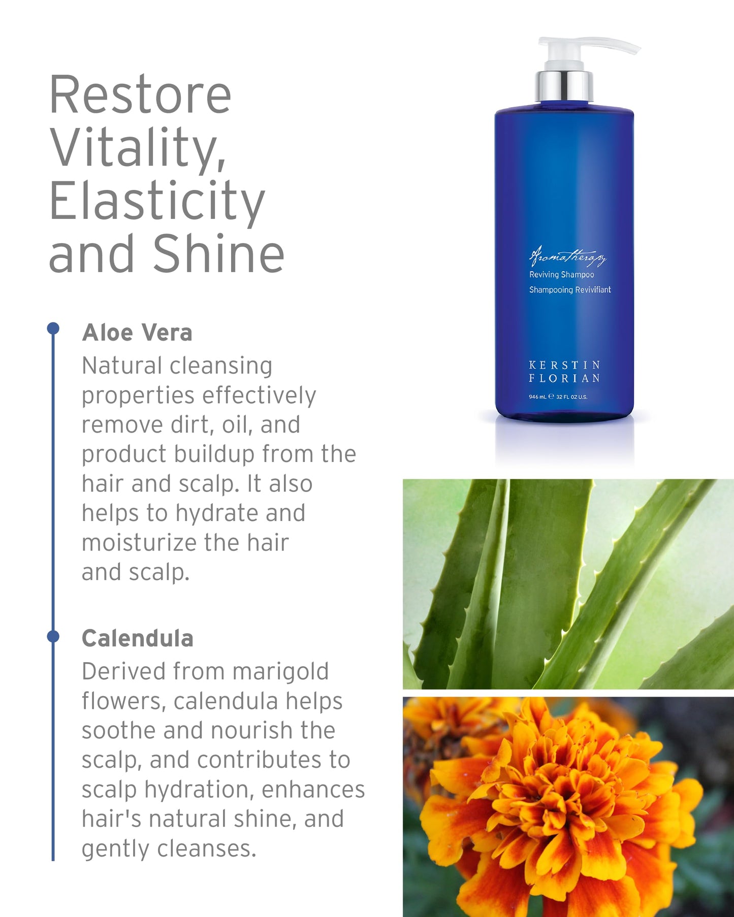 Kerstin Florian Reviving Shampoo | Moisturize & Boost Shine | Aloe and Wheat Protein Detangle & Hydrate Dull Hair | All Hair Types (32 fl oz)
